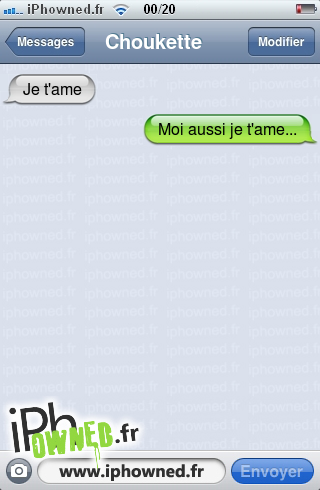 Je t'ame, Moi aussi je t'ame..., 