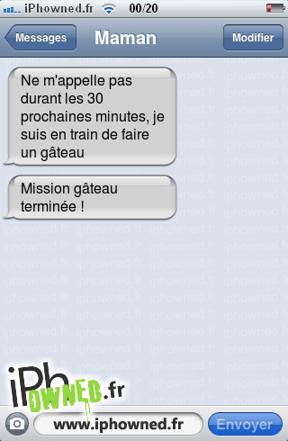 Ne m'appelle pas durant les 30 prochaines minutes, je suis en train de faire un gâteau, Mission gâteau terminée !, 