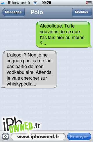 Alcoolique. Tu te souviens de ce que t'as fais hier au moins ?..., L'alcool ? Non je ne cognac pas, ça ne fait pas partie de mon vodkabulaire. Attends, je vais chercher sur whiskypédia..., 