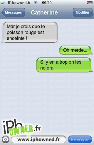 Mdr je crois que le poisson rouge est enceinte !, Oh merde..., Si y en a trop on les noiera, 