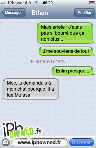 Mais arrête ! J'étais pas si bourré que ça non plus..., J'me souviens de tout, 18 mars 2012 16:36, Enfin presque..., Mec, tu demandais à mon chat pourquoi il a tué Mufasa, 