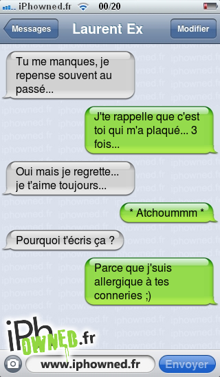 Tu me manques, je repense souvent au passé..., J'te rappelle que c'est toi qui m'a plaqué... 3 fois..., Oui mais je regrette... je t'aime toujours..., * Atchoummm *, Pourquoi t'écris ça ?, Parce que j'suis allergique à tes conneries ;), 