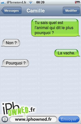 Tu sais quel est l'animal qui dit le plus pourquoi ?, Non ?, La vache., Pourquoi ?, 