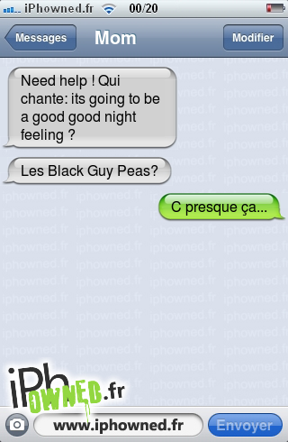 Need help ! Qui chante: its going to be a good good night feeling ?, Les Black Guy Peas?, C presque ça..., 