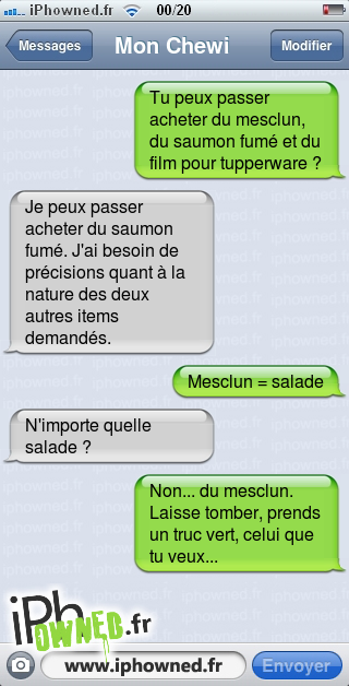 Tu peux passer acheter du mesclun, du saumon fumé et du film pour tupperware ?, Je peux passer acheter du saumon fumé. J'ai besoin de précisions quant à la nature des deux autres items demandés., Mesclun = salade, N'importe quelle salade ?, Non... du mesclun. Laisse tomber, prends un truc vert, celui que tu veux..., 